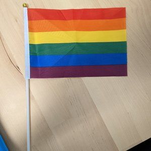 ~50 Handheld pride flags